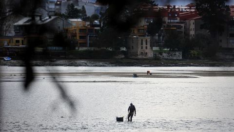 Un mariscador, faenando en la r�a de O Burgo