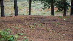 Los daos al yacimiento de Corro dos Mouros, en imgenes