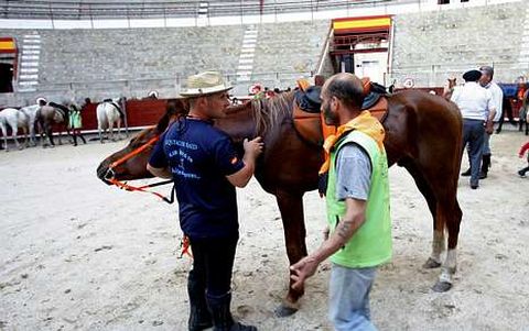 Los jinetes fueron llegando a la plaza de toros de Pontevedra donde pasaban la noche de ayer.