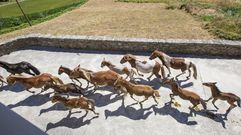 Los caballos toman Vimianzo: su bravura, en fotos