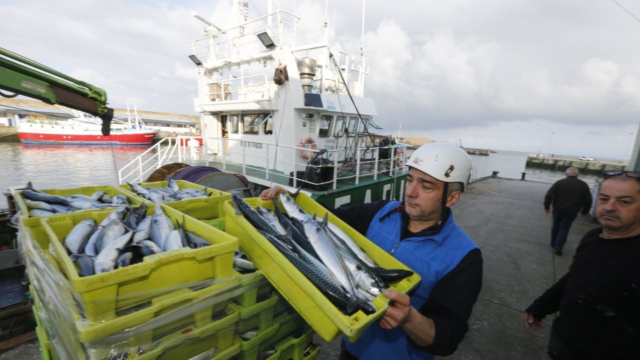 Burela analiza la situación de la pesca en las Xornadas Técnicas de Expomar y en el Encuentro Empresarial