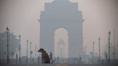 Rcord de contaminacin en Nueva Delhi