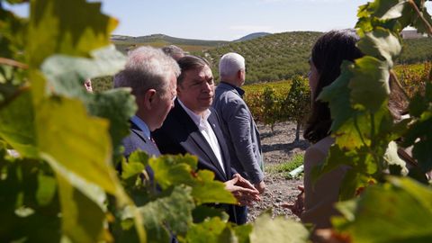 Planas durante la visita a unos vi�edos celebrada en el marco de la Reuni�n Informal de Ministros (RIM) de Agricultura de la Uni�n Europea