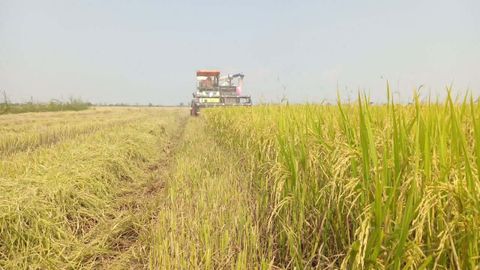 Imagen de archivo de una m&aacute;quina agr&iacute;cola cortno hierba