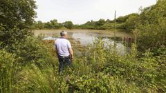 Una de las lagunas que se han creado en el entorno del Monte Neme, en las que ya hay vida de flora y fauna