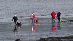 El marisqueo es una de las principales actividades mar�timas en la r�a de Pontevedra