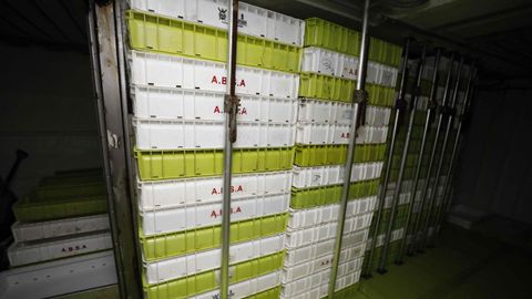 En estas cajas plsticas, con hielo en escamas, guardan el pescado en las neveras del barco
