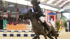 Las pruebas de ponis re�nen tambi�n a numeroso p�blico