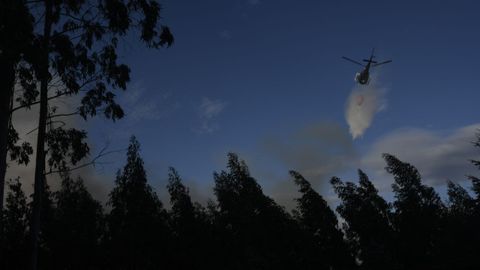 Incendio en una nave de pollos de Castro de Rei.