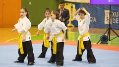El interprovincial de kung fu en Carballo, en fotos