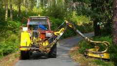 Trabajos de desbroce en una carretera