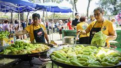 Nueva edici�n de la Feira do Pemento en O�mbra