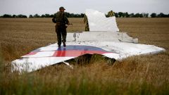 Un prorruso vigila los restos del vuelo MH17 que se estrell� en el este de Ucrania