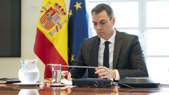 Pedro Snchez, durante la videoconferencia con los presidentes autonmicos