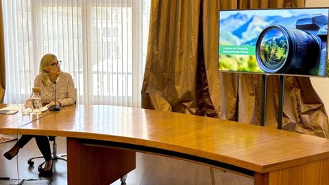 La viceconsejera de Turismo, Lara Mart�nez, durante la presentaci�n de la campa�a