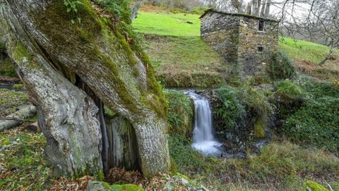Salto de agua junto a una antigua caba�a en O Corgo