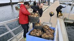 La Cofrad�a de Barallobre, en una imagen de archivo.