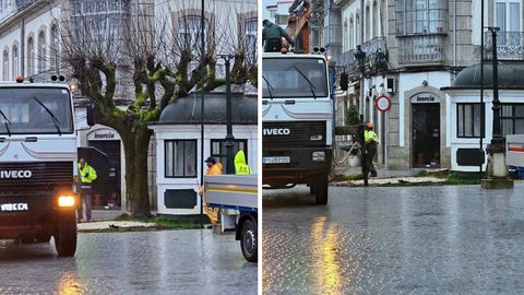 Imagen del antes y el despu�s de la primera tala