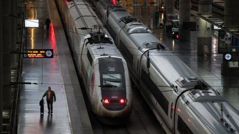 Trenes estacionados en la estaci�n Madrid-Puerta de Atocha-Almudena Grandes.