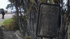 Zona quemada por los incendios en Vald�s
