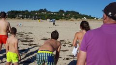 Una invasi�n de abejas�obliga a desalojar una playa de Mi�o