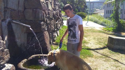 La de fene.Sobre un parque. La fuente tiene bajo ella un recipiente que recoge el agua. Algo �til para los animales que pasean en el jard�n en el que se encuentra y que aprovechan para beber de ella. Adem�s, muchas personas acuden con sus botellas a recoger este agua fresca