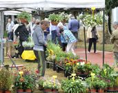 El mercado cont� ayer con la presencia de 72 puestos. 