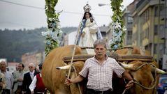 Dos bueyes encabezan la procesi�n en Oseiro (Arteixo)