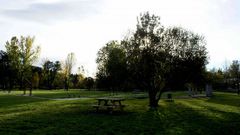 El �rea recreativa de Cabreiro� ha sido replantada con �rboles aut�ctonos