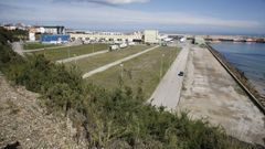 La planta pretende instalarse en la zona de O Berb�s, en el �rea portuaria de Burela