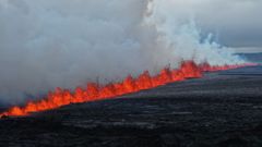 Lavaemergiendo tras una erupcin volcnica cerca de Grindavk, en la pennsula de Reykjanes.