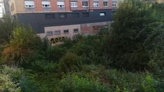 Solar con abundante vegetaci�n en la calle Avelino Gonz�lez Mallada, de El Coto