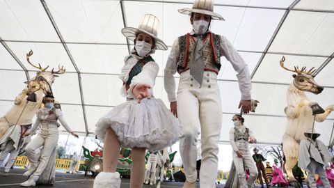 Seis espectculos acompaaron la visita de los Reyes Magos