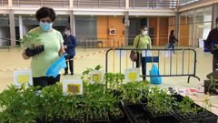 Vuelve el mercado agrario de Arz�a