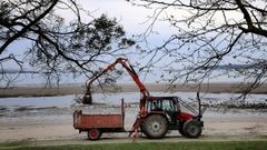 Un tractor realizando una limpieza en la playa de Barra�a, en Boiro