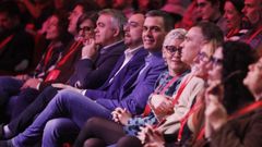 El presidente del Gobierno, Pedro Snchez, este viernes en el Centro Niemeyer de Avils.