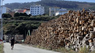 Madera de eucalipto apilada en Burela, en imagen de archivo