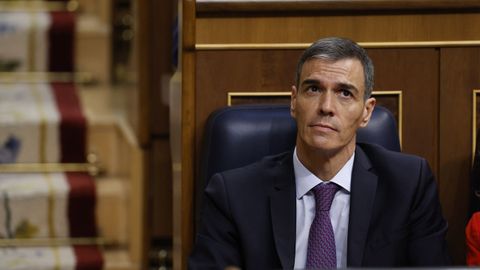 El presidente del gobierno Pedro Sánchez, durante el pleno en el Congreso de los Diputados.
