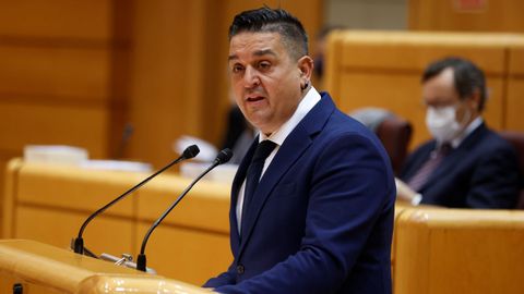 El senador de Comprom�s, Carlos Mulet, en el pleno de la C�mara Alta