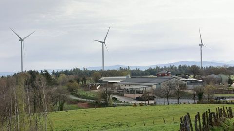 Uno de los parques eólicos de Endesa en Galicia