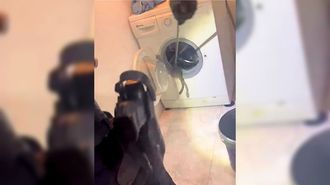 Una culebra en la lavadora de una casa en Chantada
