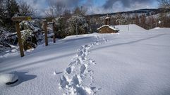 Imgenes que dejaron las nevadas en la montaa de A Pobra do Brolln