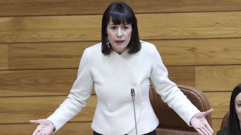 La portavoz del BNG, Ana Pont�n, en el Parlamento.