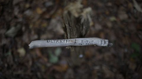 As� es el Cami�o Primitivo a su paso por el municipio de Lugo