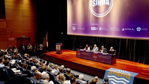 Congreso de la Societ� Internationale Fernand de Visscher en Afundaci�n Vigo