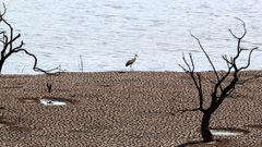Vista del embalse de Sierra Boyera, en C�rdoba, que est� al 0,01 % de su capacidad