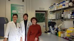 Nuevas claves sobre el efecto protector del �colesterol bueno�