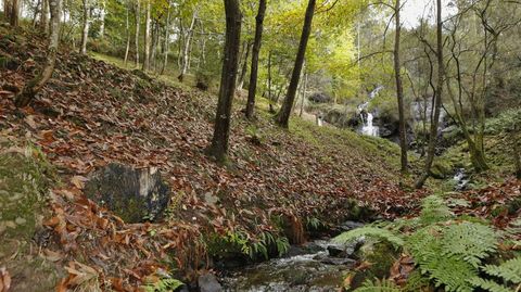 Entorno de la fervenza de Rus, en Carballo 