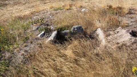 Restos de un tmulo megaltico en la necrpolis de As Cabanas