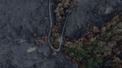 La carretera de San Vicente qued� totalmente cercada por las llamas en el incendio del pasado verano.